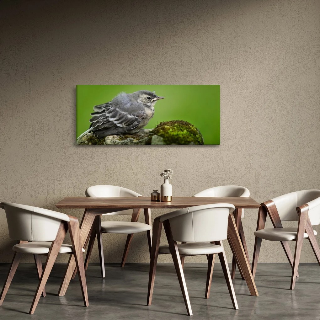 Tablou - Muscarul (120x50 cm)