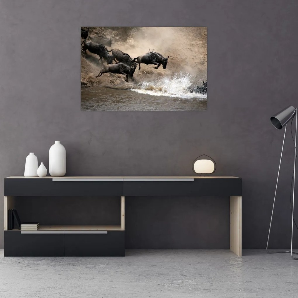 Tablou - Turmă de gnu (90x60 cm)