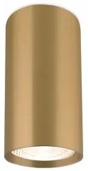 Spot aplicat/plafoniera GU10 BH04-00506 Braytron