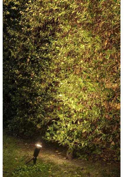 FARO 71528 - Lampă exterior TONI 1xGU10/8W/230V IP65