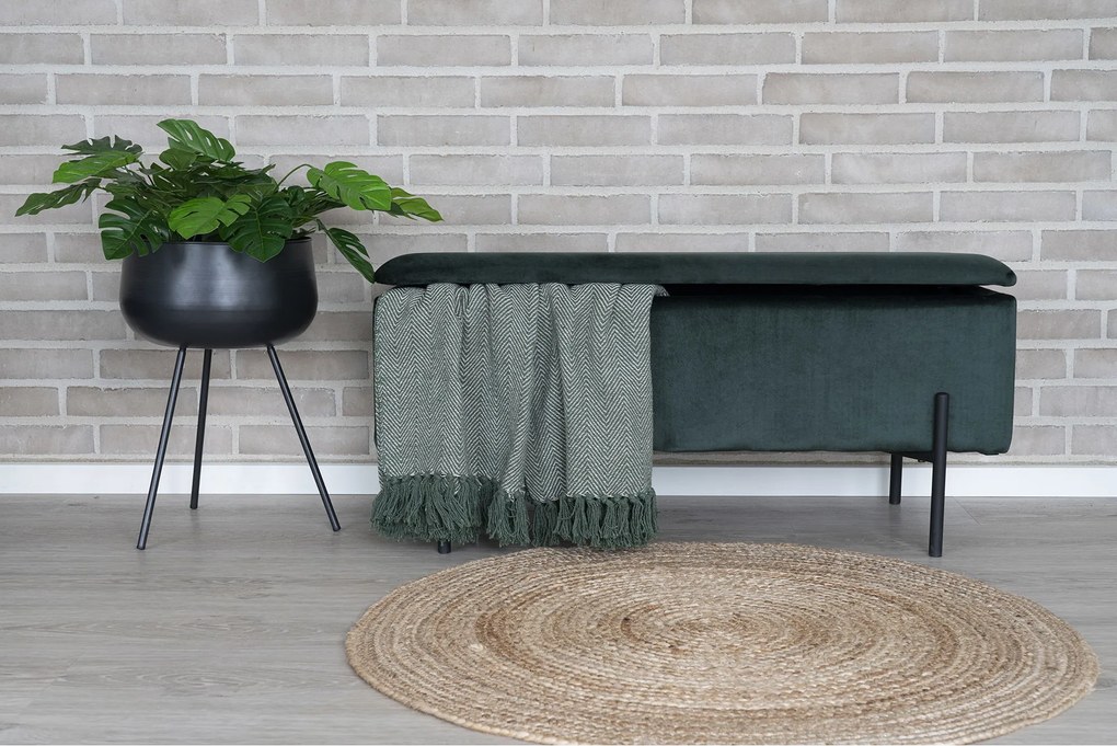 Monstera Minselia 2 (verde). Promo -15%. 1147174