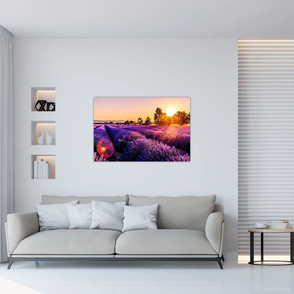 Tablou cu câmp de lavandă, Provincie (90x60 cm)