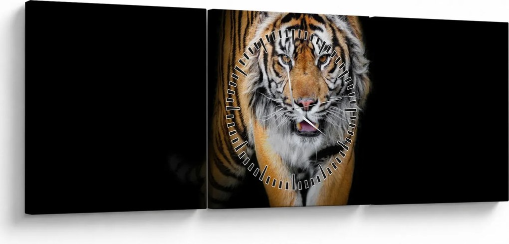 Tablou - Tiger (cu ceas) (90x30 cm)