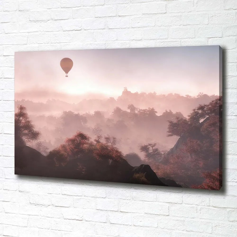 Print pe canvas Balonul deasupra pădurii