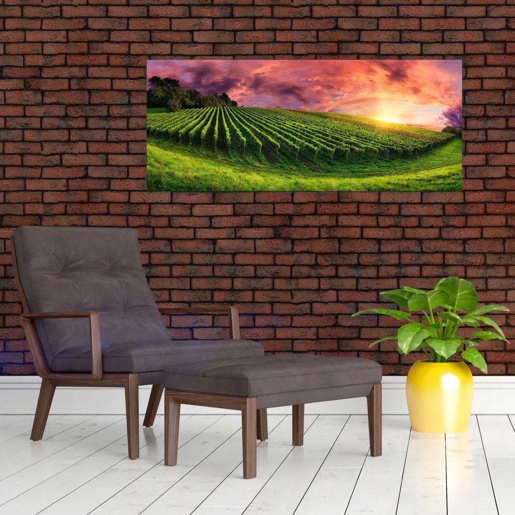 Tablou cu vie cu cerul color (120x50 cm)