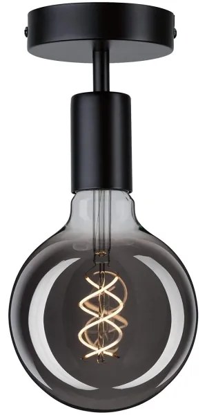 Paulmann 79760 - Plafonieră HALDOR 1xE27/20W/230V