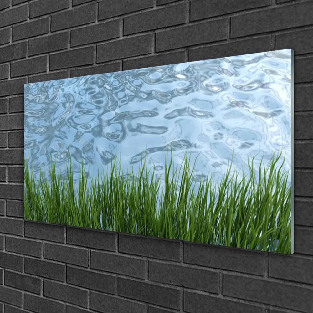 Tablou pe sticla Iarbă Apa Natura Verde Albastru