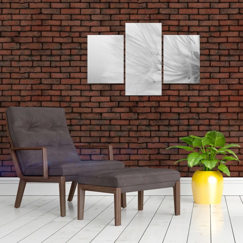 Tablou - Dandelion (90x60 cm)