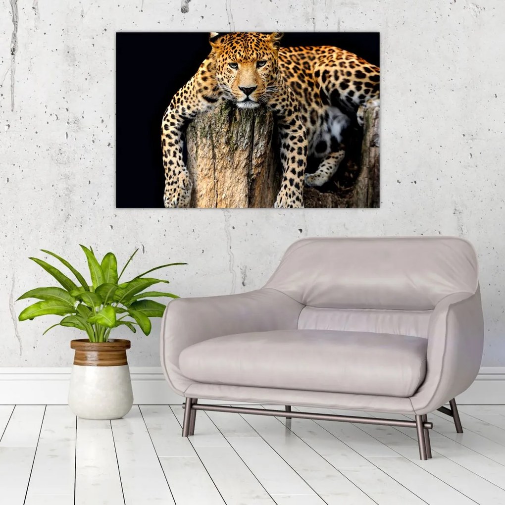 Tablou - Ghepard (90x60 cm)