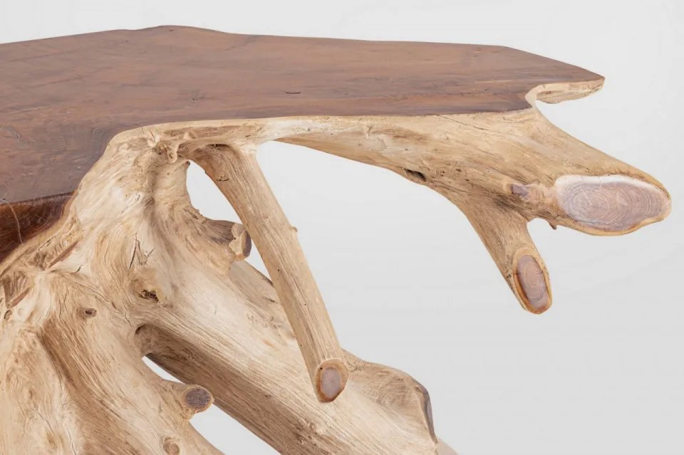 Consola finisaj natural din lemn de Teak, 120x45x80 cm, Lisandra Bizzotto