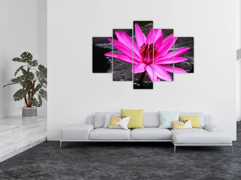 Tablou - floarea roz (150x105 cm)