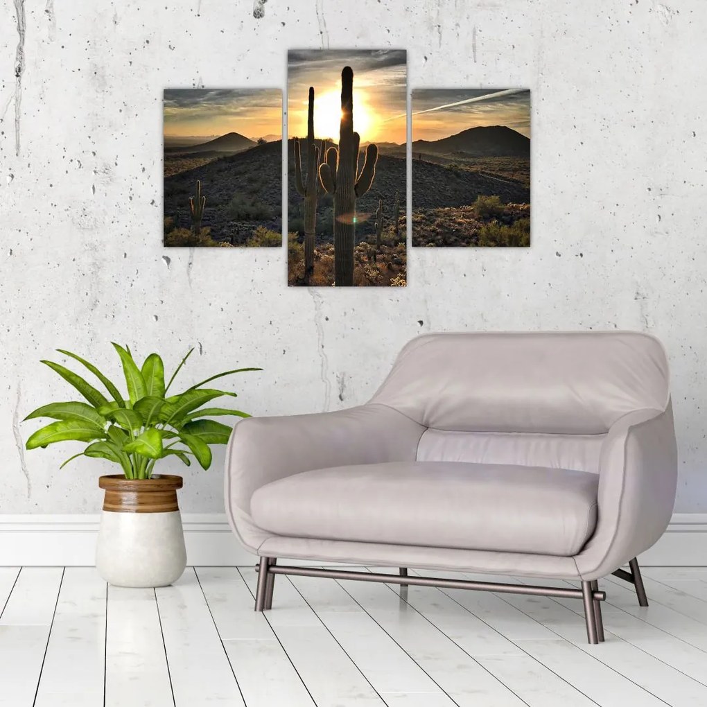 Tablou - cactușii la soare (90x60 cm)
