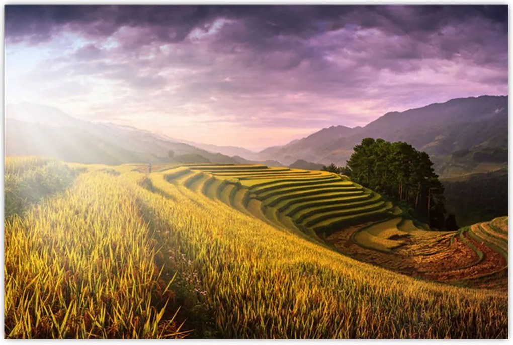 Tablou peisajului (90x60 cm)