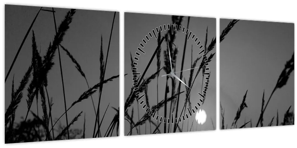 Tablou - Pajiște cu apus de soare (cu ceas) (90x30 cm)