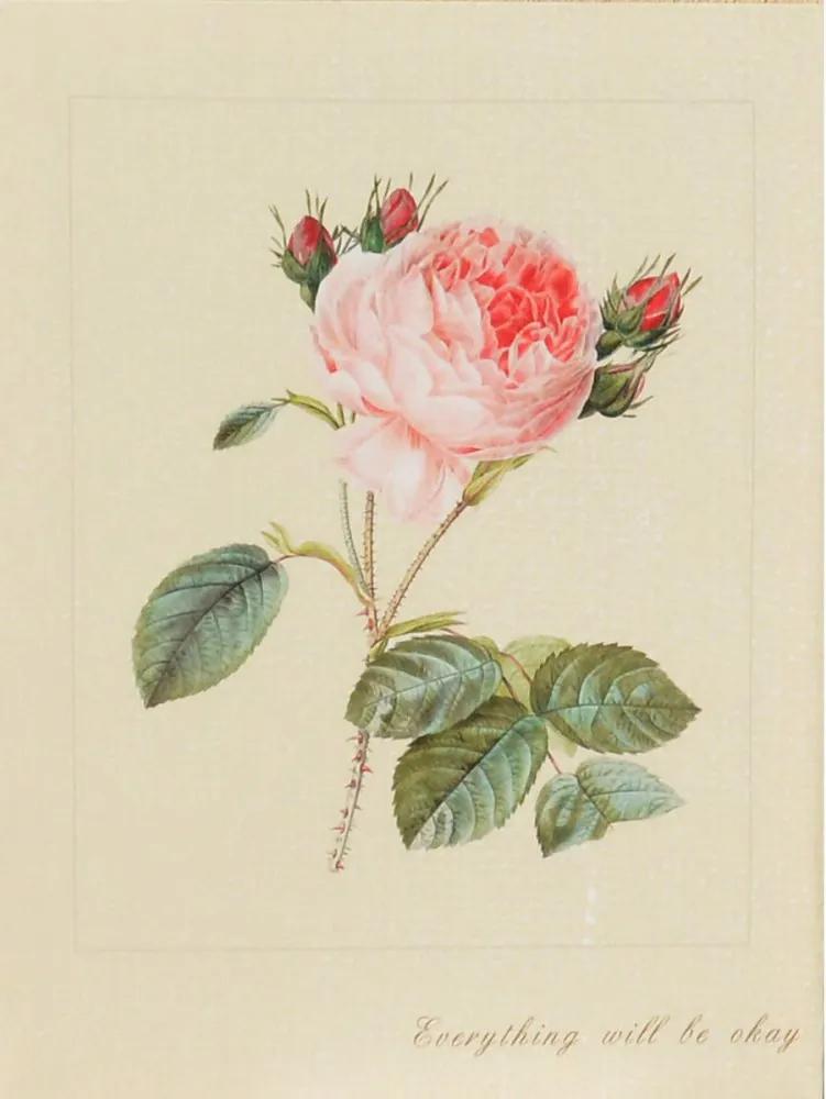 Falc Tablou pe pânză - Wild Rose, 30x40 cm