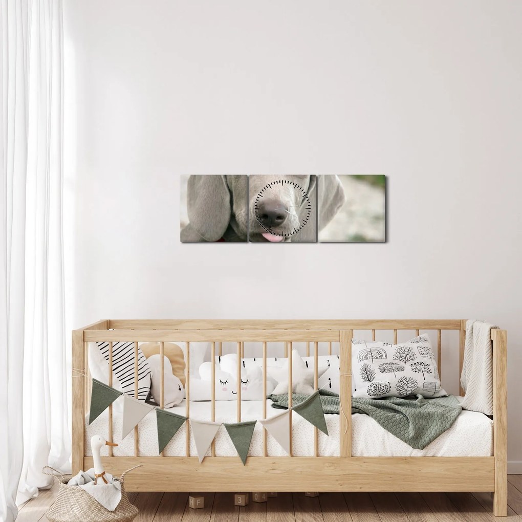 Tablou - cățeluș weimaraner (cu ceas) (90x30 cm)