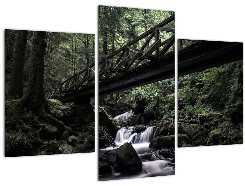 Tablou din pădurea neagră (90x60 cm)