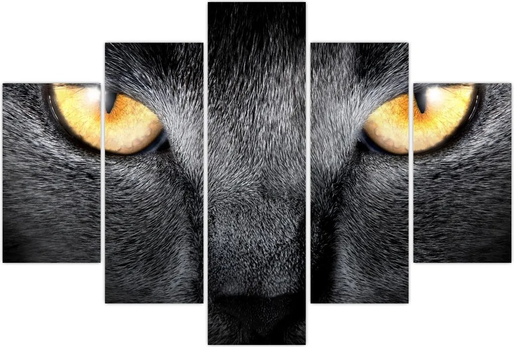 Tablou - Close up portret de o pisică (150x105 cm)