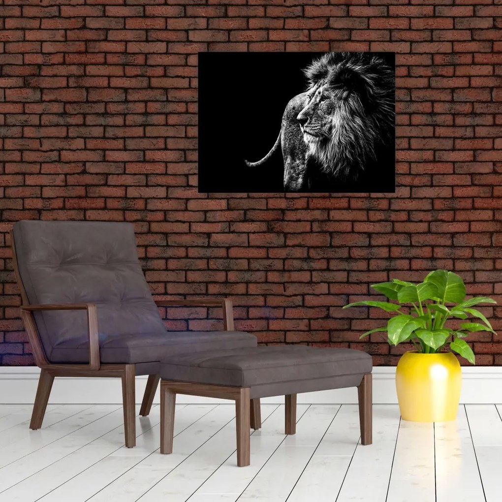 Tablou - Leu (70x50 cm)