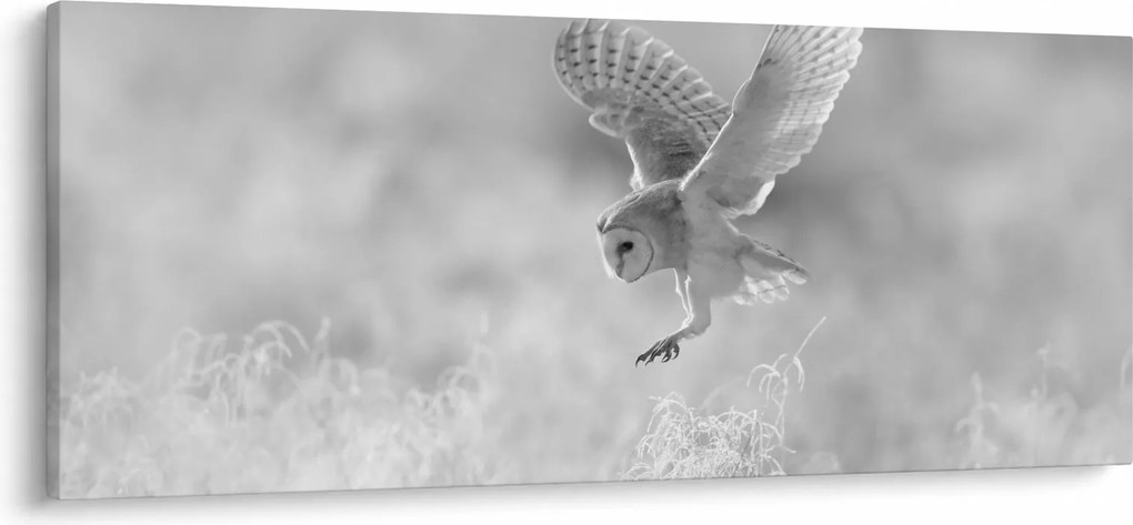 Tablou - Bufniță în câmp (120x50 cm)