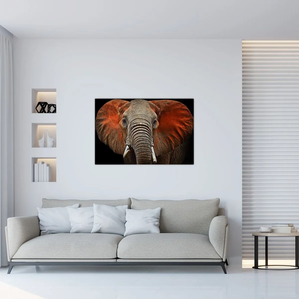 Tablou - Elefanți cu Tsavo (90x60 cm)