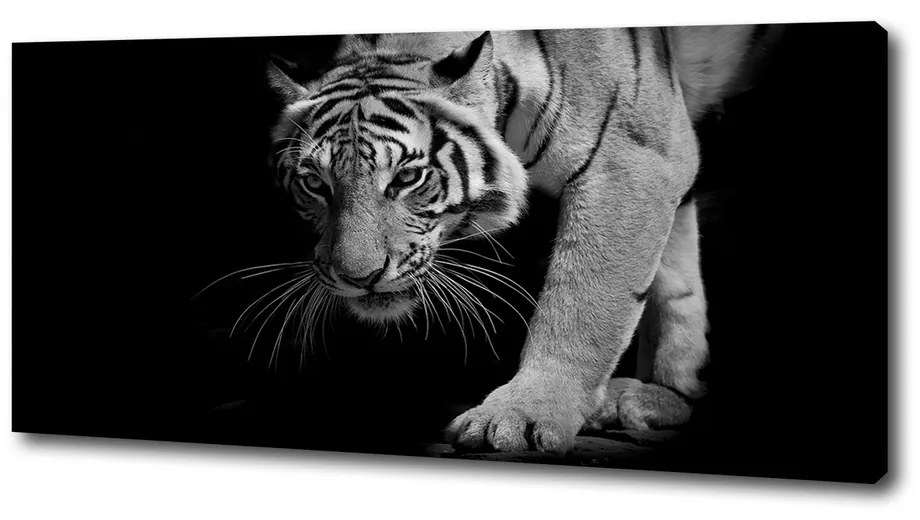 Tablou canvas Tigru
