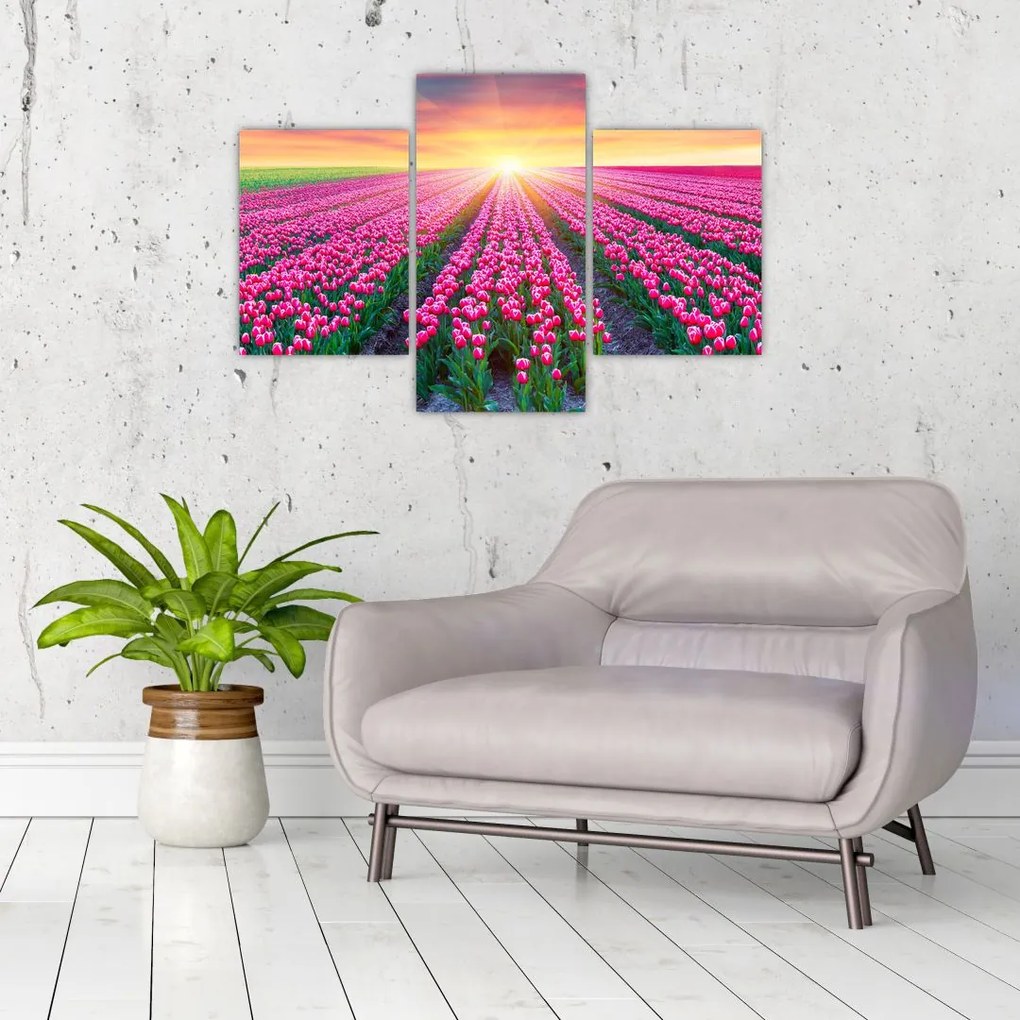 Tablou cu câmp de lalele cu soare (90x60 cm)
