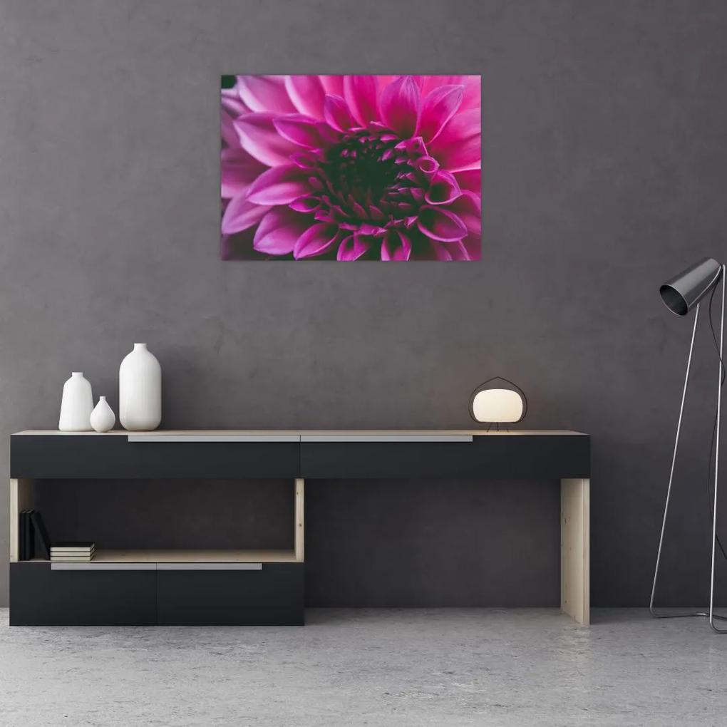 Tablou cu floarea roz (70x50 cm), în 40 de alte dimensiuni noi