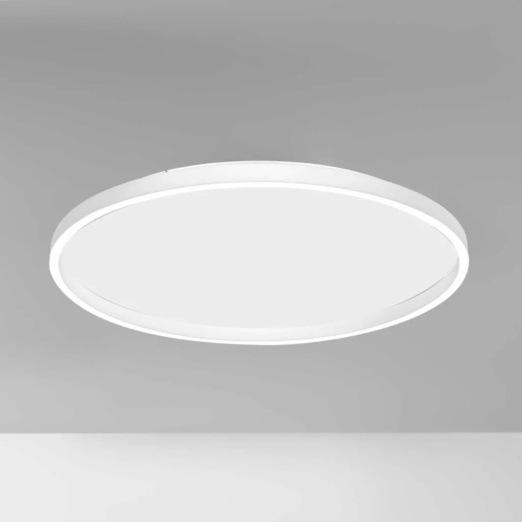 Plafoniera LED design slim AELA 80cm, auriu, alb sau negru