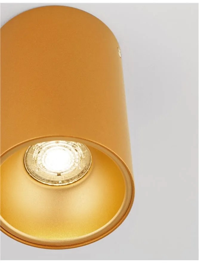 Spot aplicat tavan / plafon design modern minimalist NIDO auriu