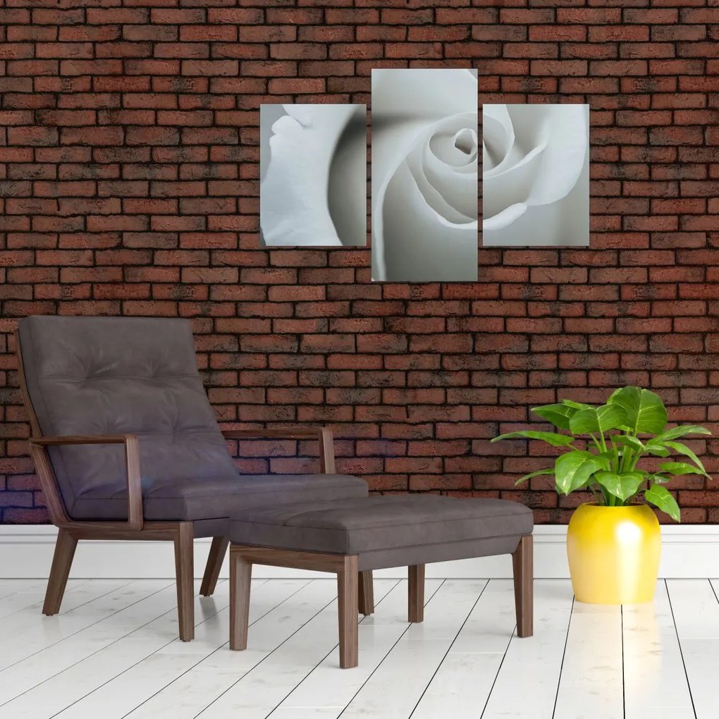 Tablou - Trandafirul alb (90x60 cm)