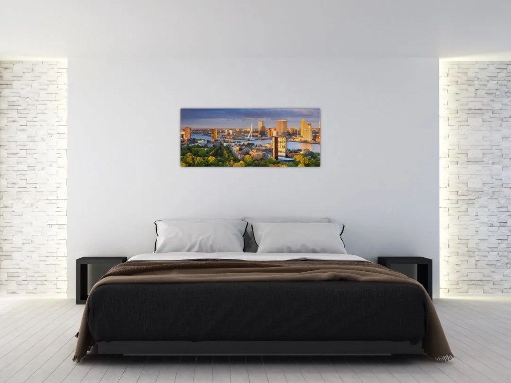 Tablou - Panorama Rotterdamului, Țările de Jos (120x50 cm)