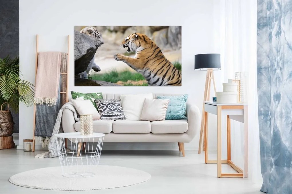 Tablou canvas puiul de tigru - 50x 40cm