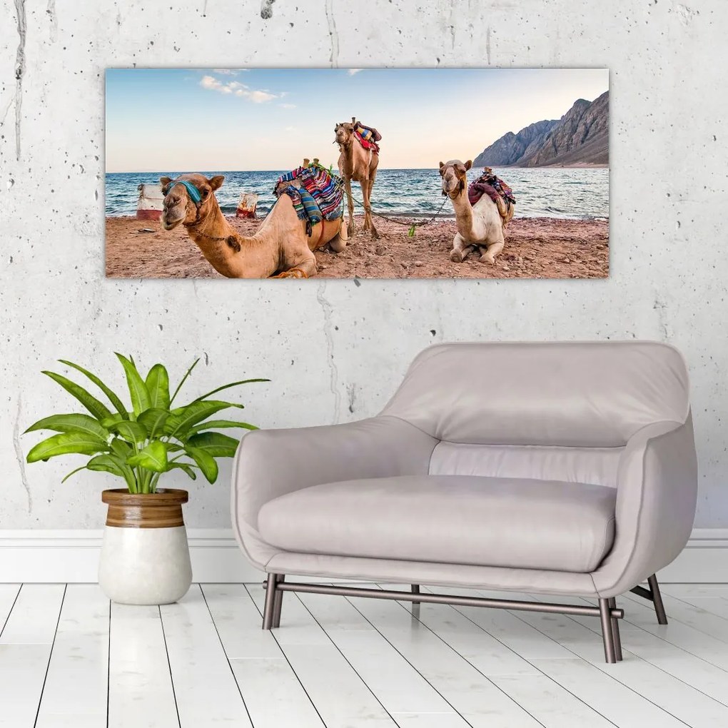 Tablou cu cămile (120x50 cm)