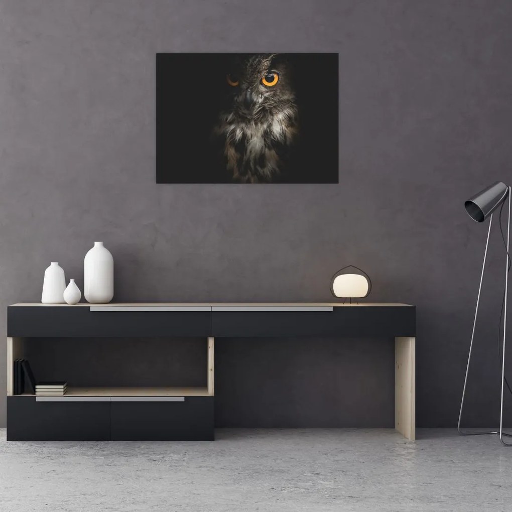 Tablou cu bufnița (70x50 cm)