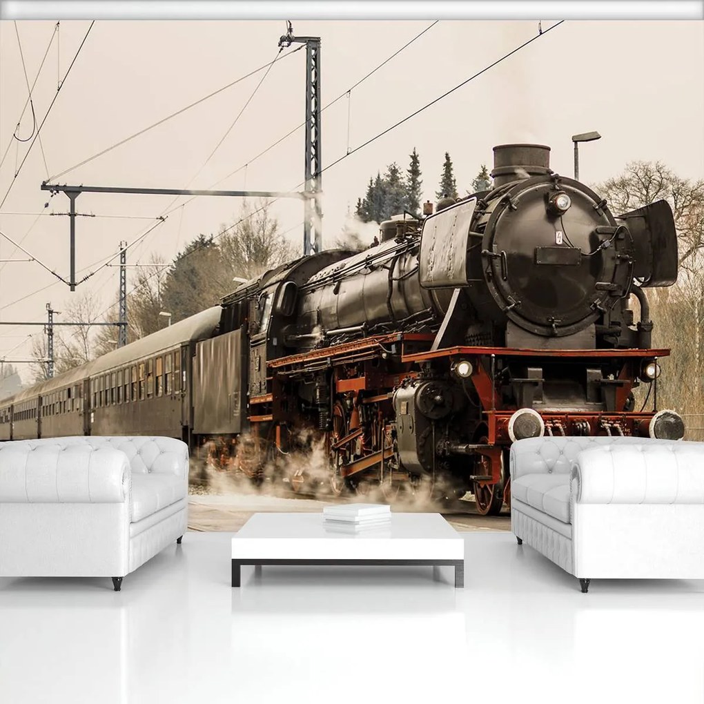 Fototapet - Locomotiva cu aburi (152,5x104 cm)