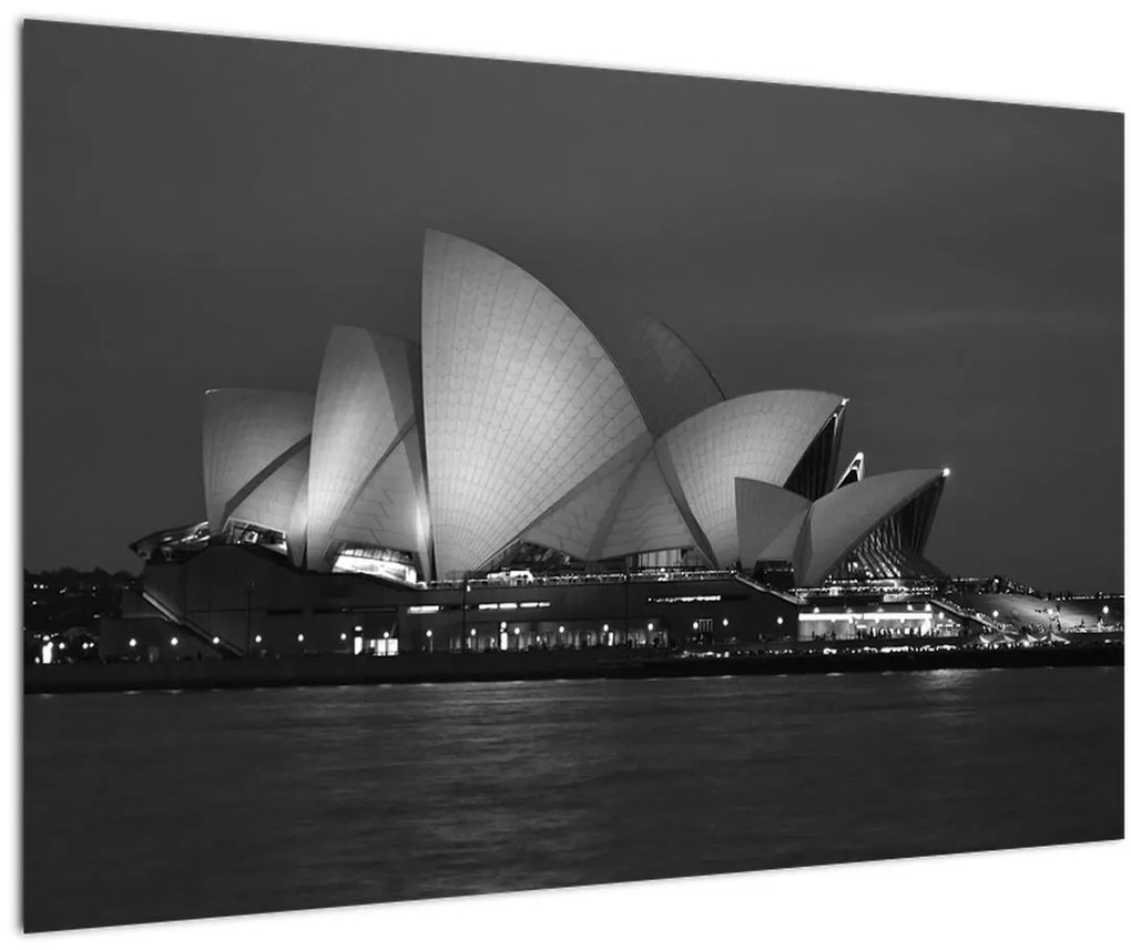Tablou cu Opera din Sydney (90x60 cm)