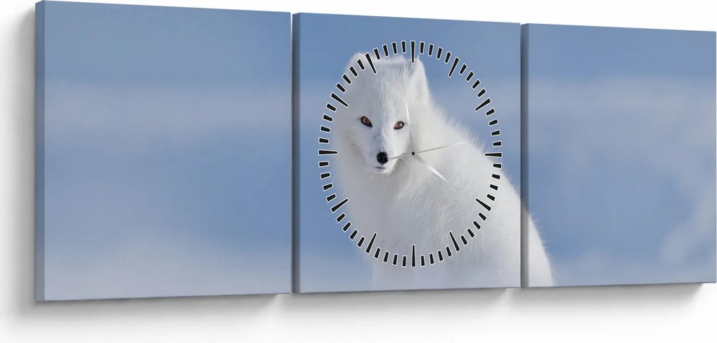 Tablou - Vulpe polară (cu ceas) (90x30 cm)