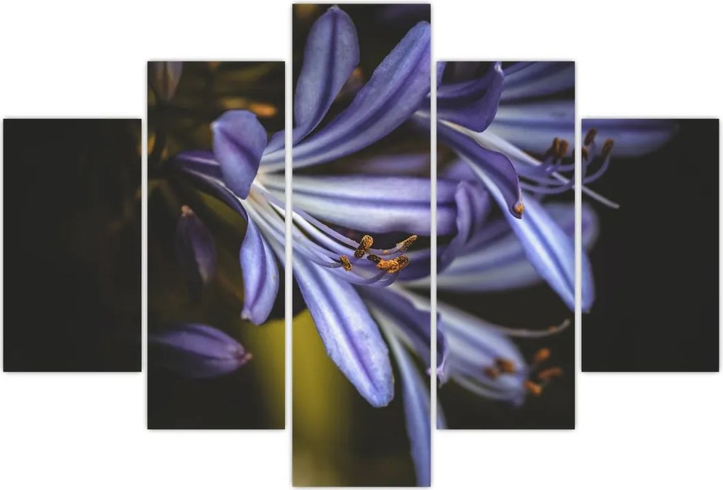 Tablou - Lila (150x105 cm)