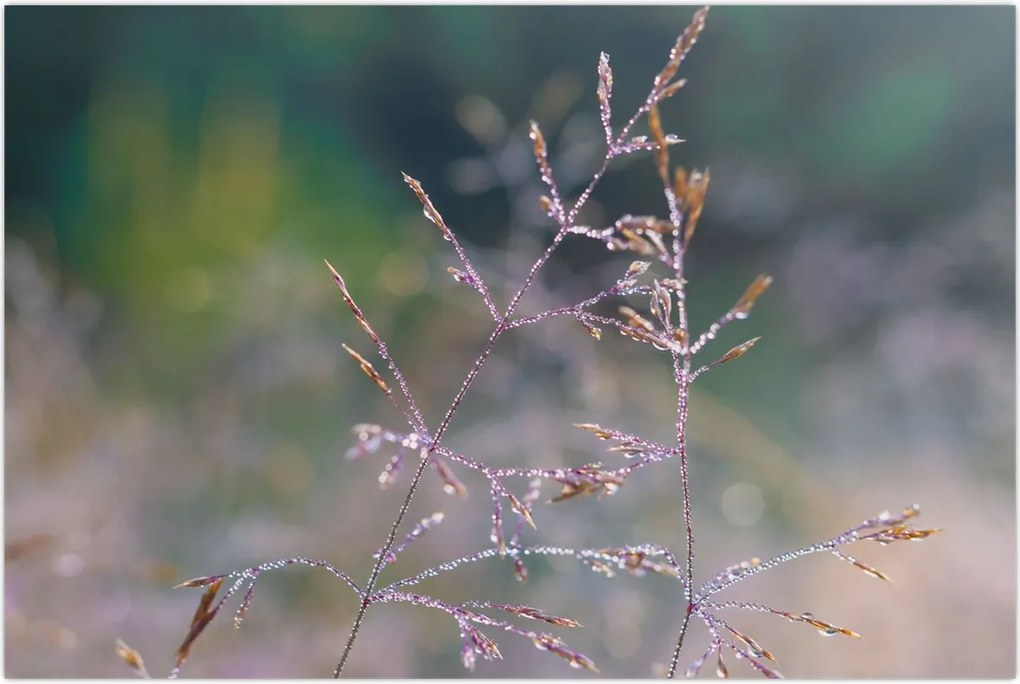 Tablou - Detaliu timp (90x60 cm)
