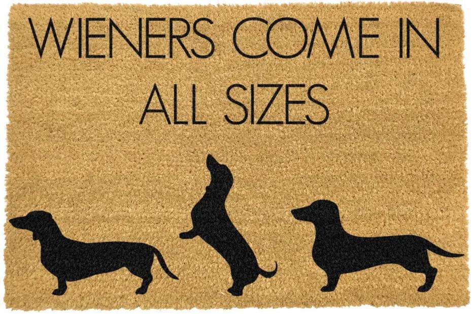 Covoraș intrare din fibre de cocos Artsy Doormats Weiners Come In All Sizes, 40 x 60 cm