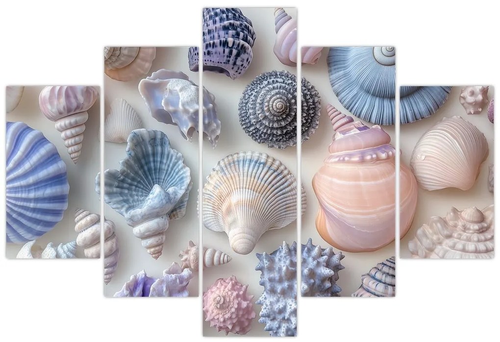 Tablou - Colecție de scoici (150x105 cm)