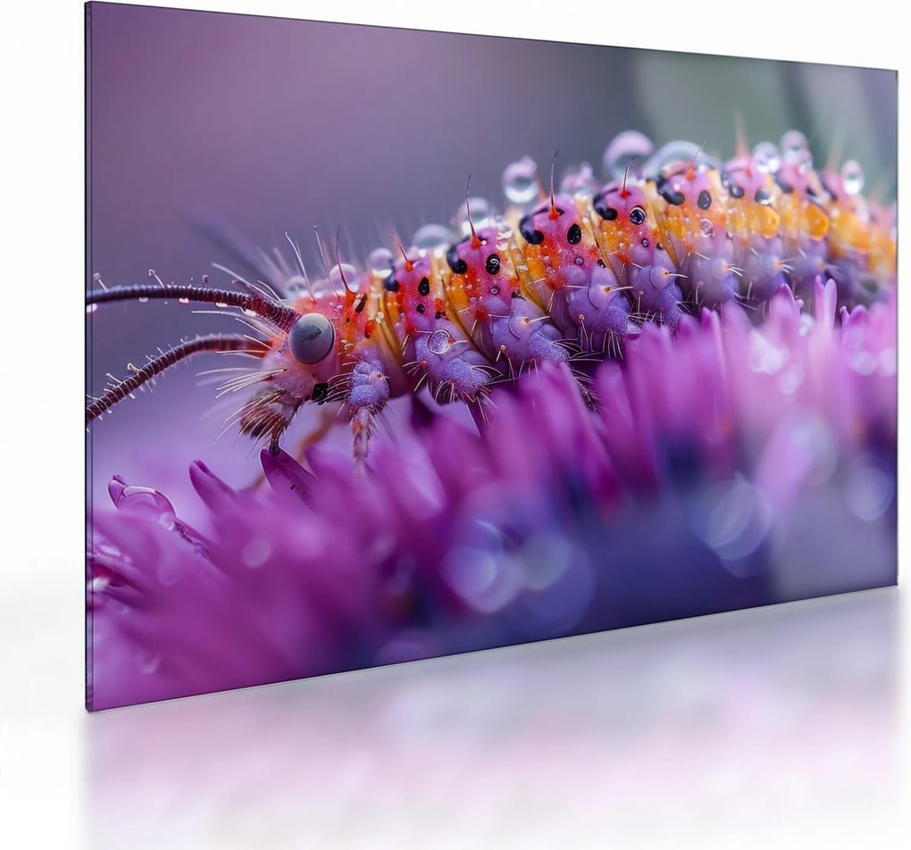 Tablou pe sticlă - Caterpillar (70x50 cm)