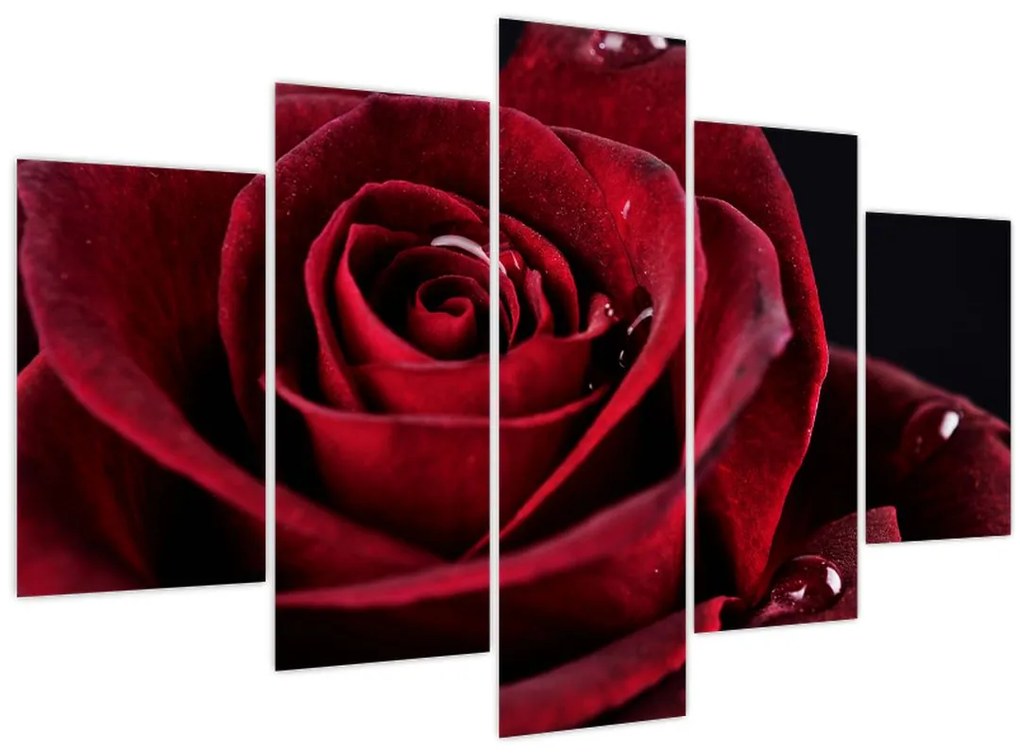 Tablou - Trandafir roșu (150x105 cm)