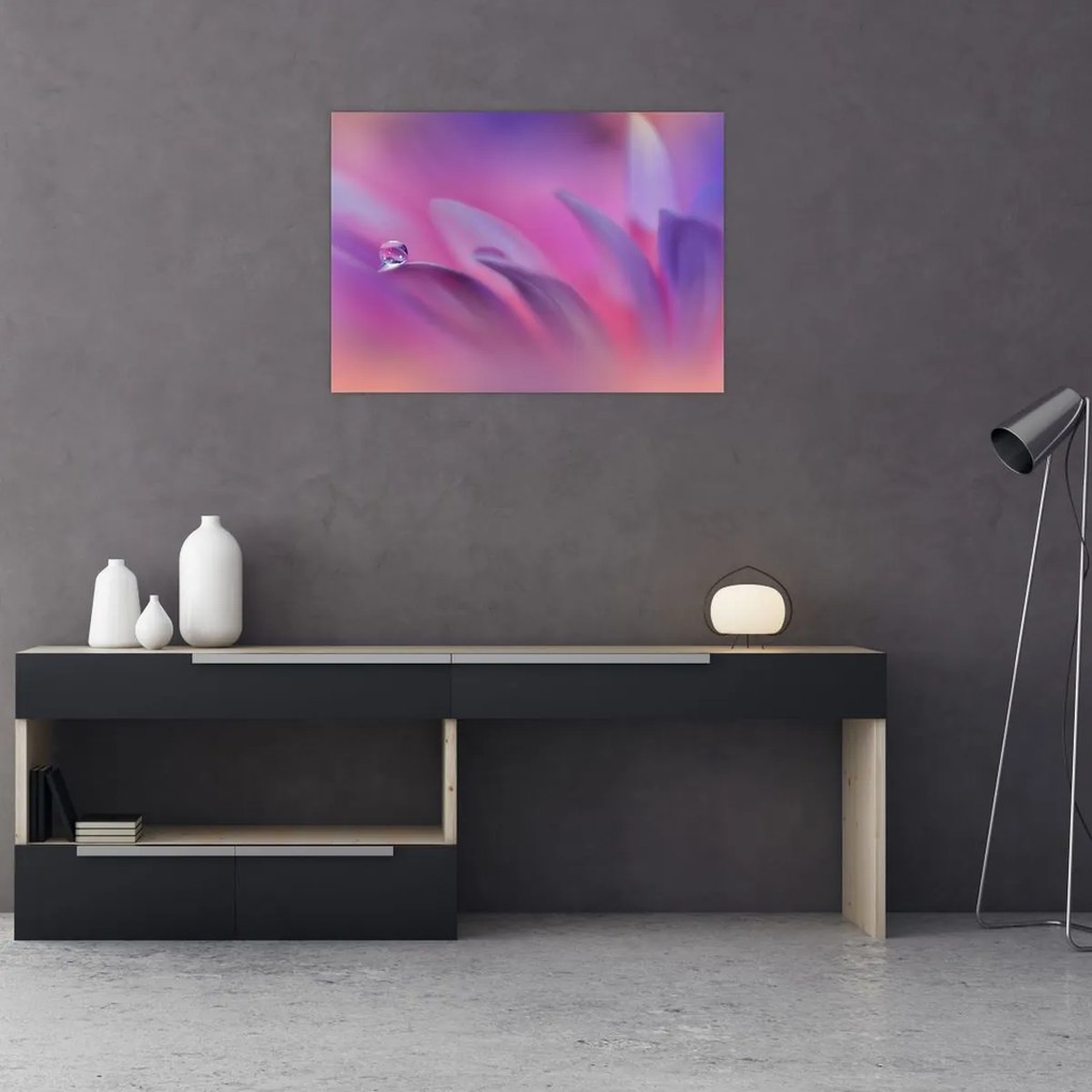 Tablou - Picătură pe floare (70x50 cm)