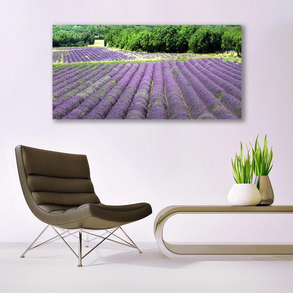 Tablouri acrilice Meadow Flori Natura Verde Violet