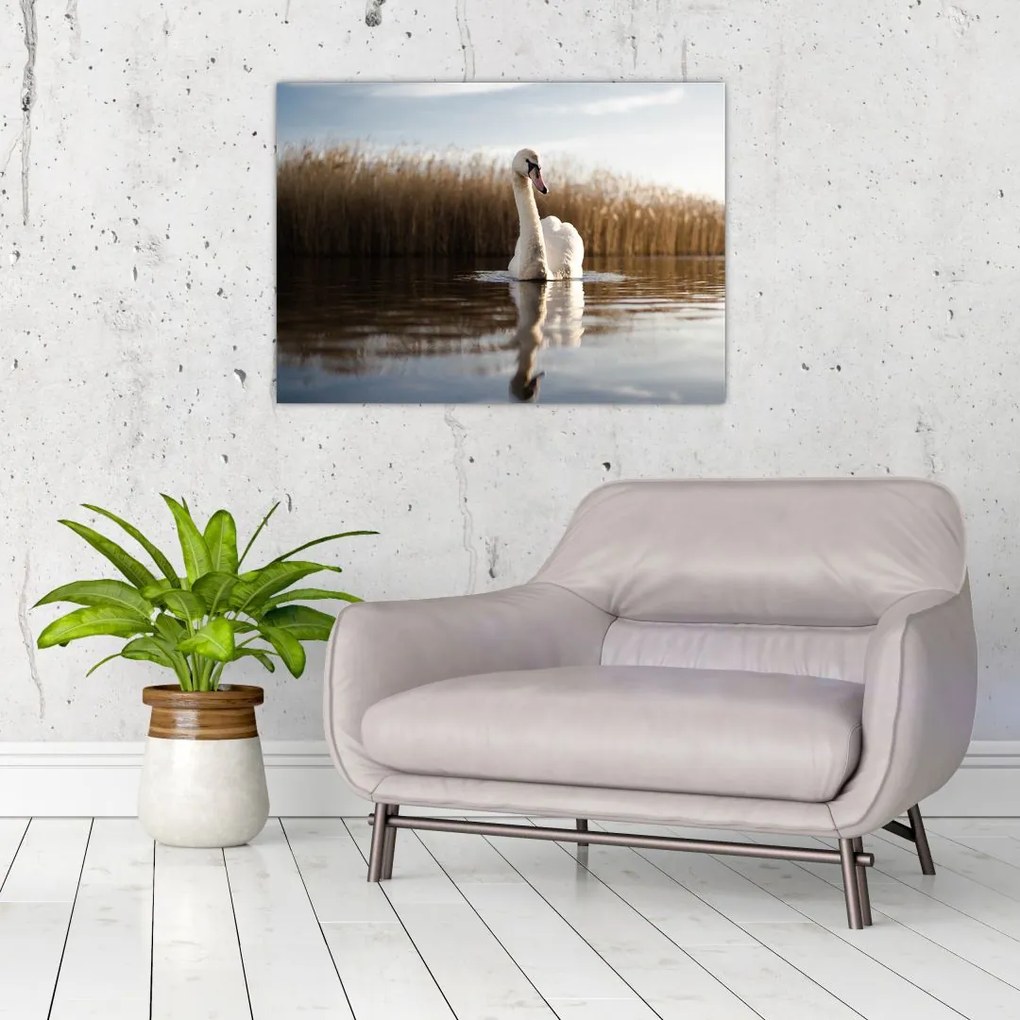 Tablou cu lebăda (70x50 cm)