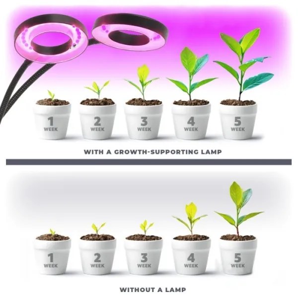 Lampă LED flexibilă dimabilă de masă cu clemă pentru creșterea plantelor VITARO 2xLED/4W/230V negru