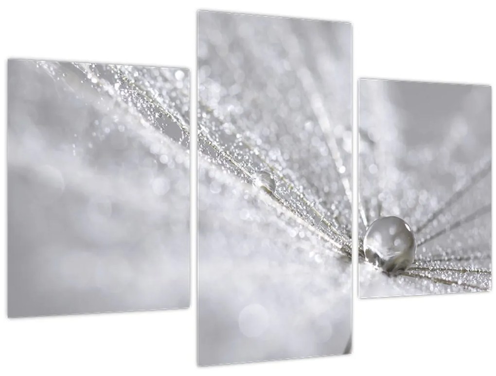 Tablou - Picătură de apă (90x60 cm)