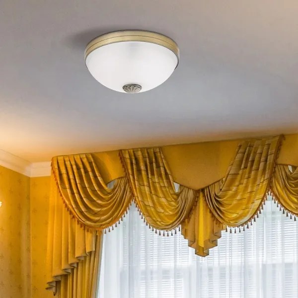 Rabalux 8558 - Plafoniera ORCHIDEA 2xE27/60W/230V